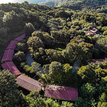 El Bosque Lodging Villa Monteverde Dış mekan fotoğraf