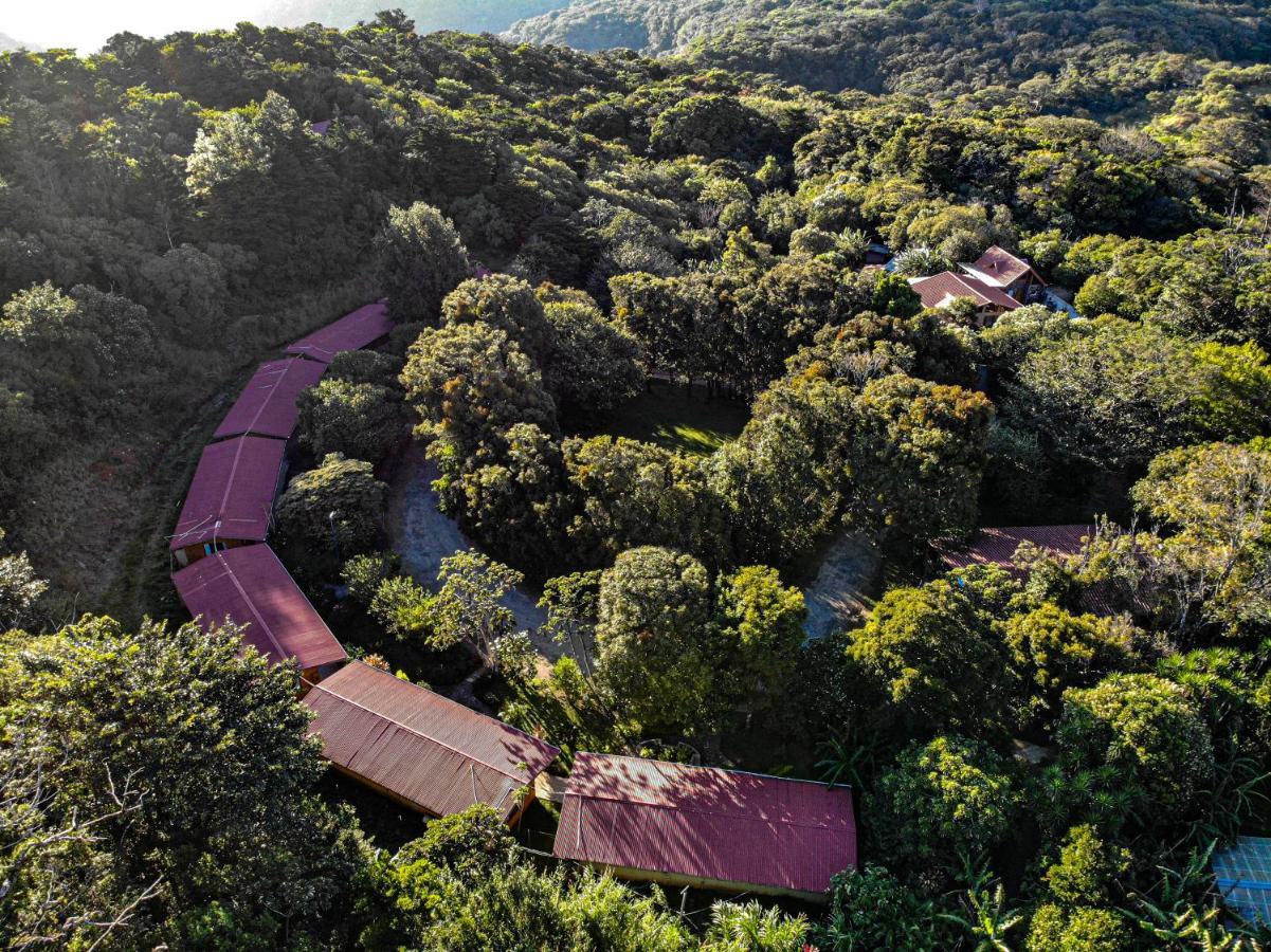 El Bosque Lodging Villa Monteverde Dış mekan fotoğraf